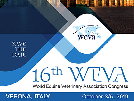 WEVA2019